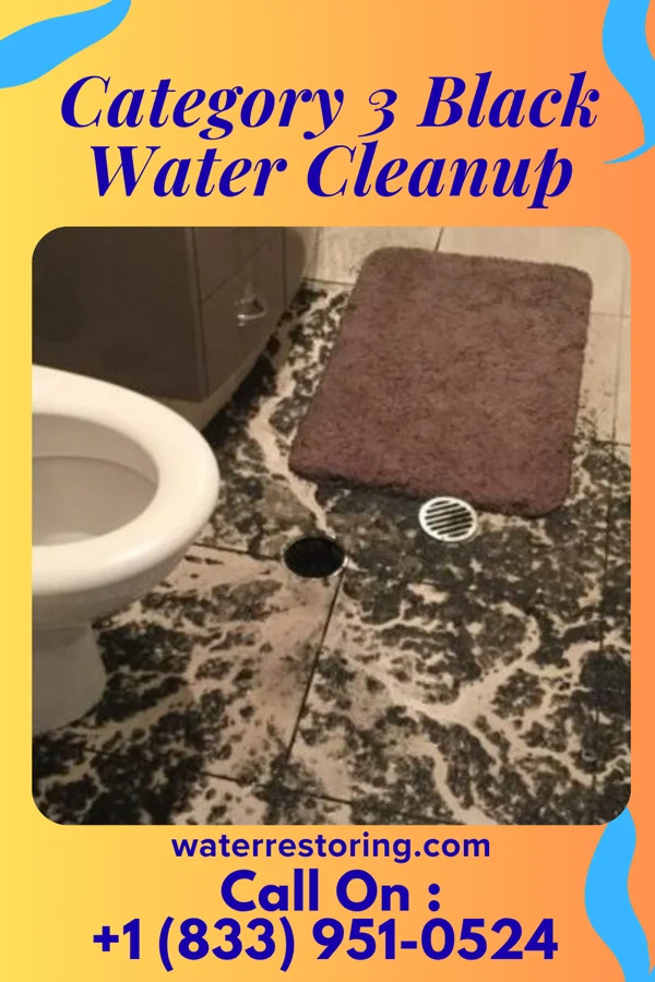 Category 3 Black Water Cleanup in Mannsville, NY