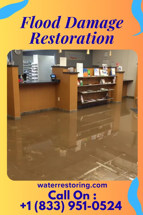 Flood Damage Restoration in Mannsville, NY