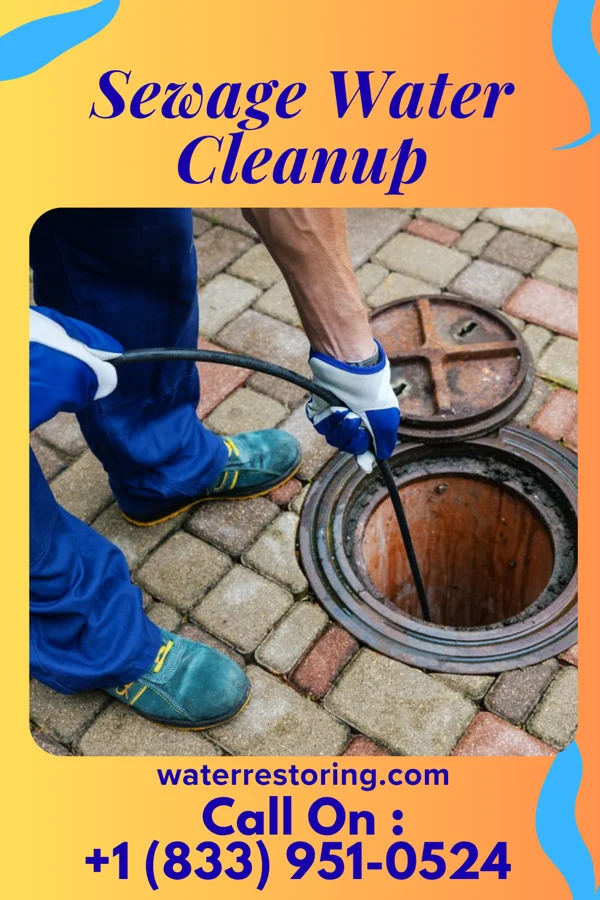 Sewage Water Cleanup in Mannsville, NY